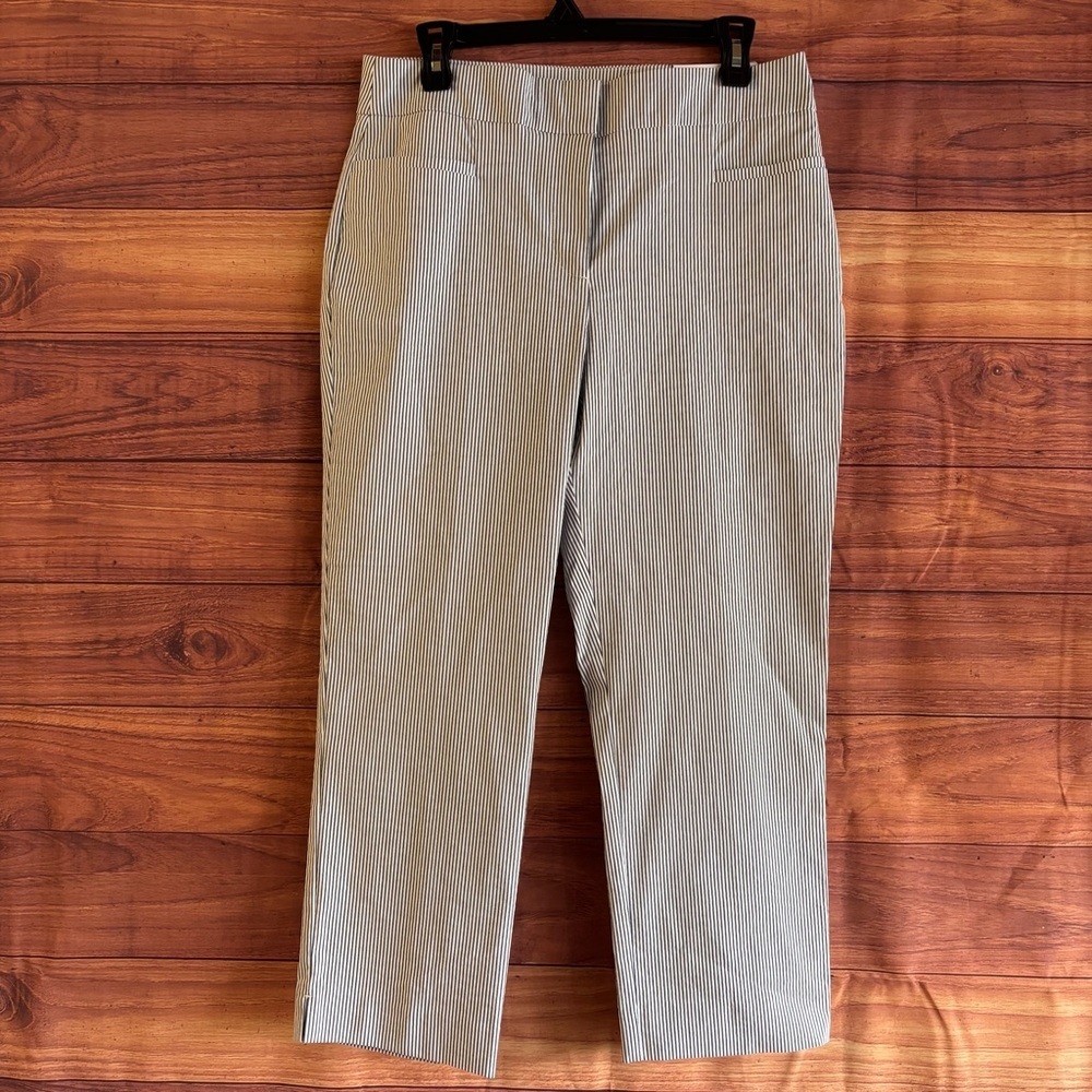Ann Taylor Factory The Crop Pinstripe Pants Blue White Mid Rise Slim Leg Size 8